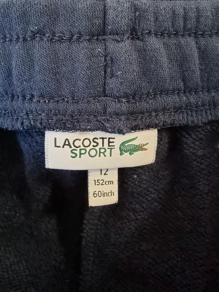 Lacoste pantalon de survetement molleton * taille 12 ans * - photo numéro 7