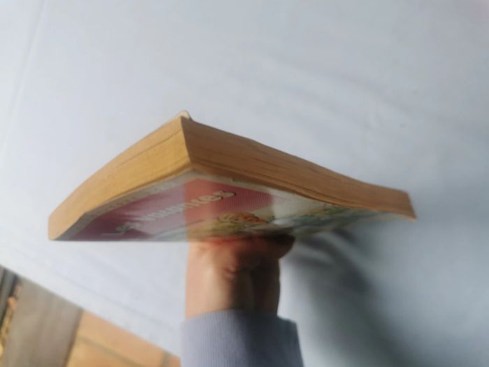 Les vacances livre de Comtesse de Ségur, bibliothèque rose - photo numéro 7