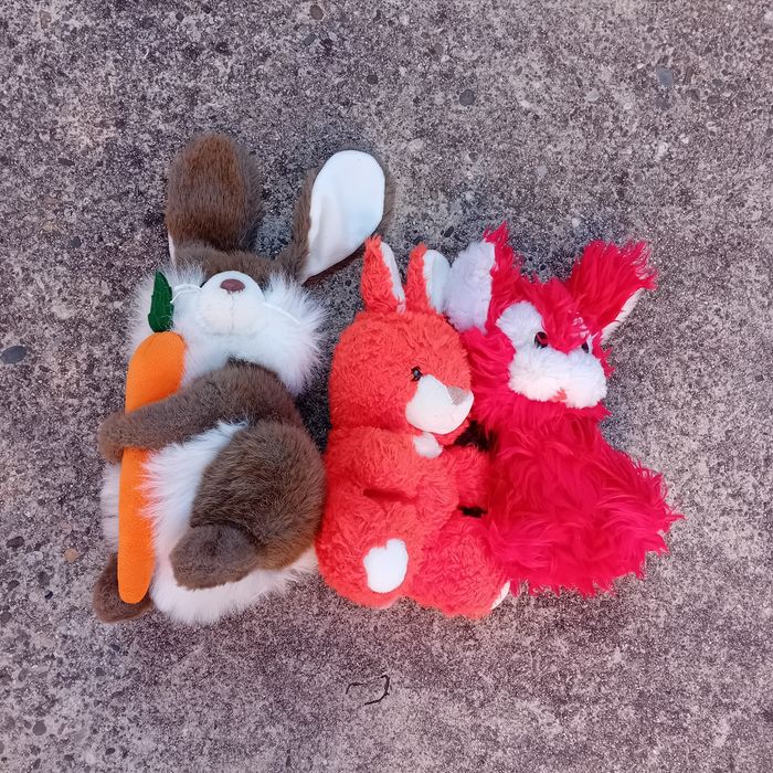 Peluches - photo numéro 7