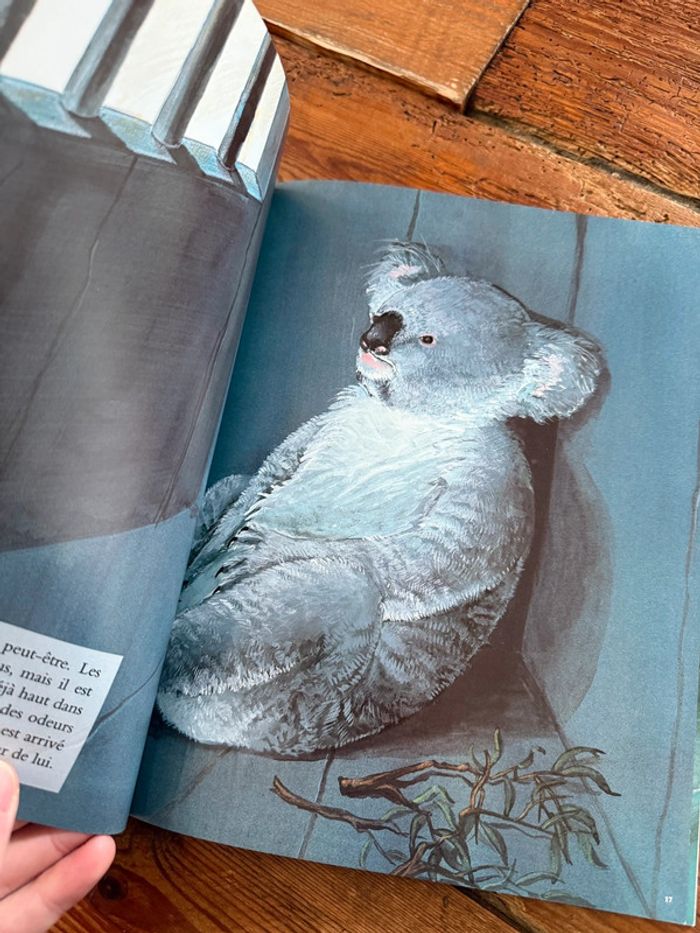 Livre album Petit Koala parmi les Hommes Emmanuelle Zicot archimede l’école des loisirs - photo numéro 5