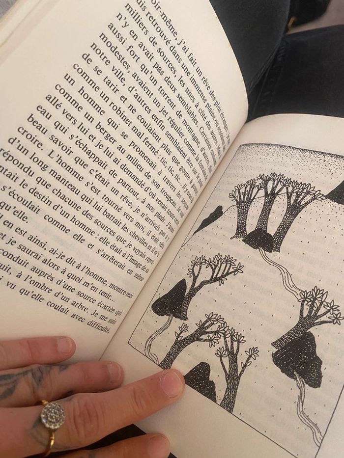 Livre l’arbre serpent contes grecs populaires - photo numéro 6