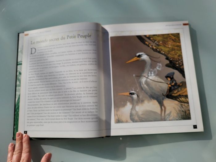 Encyclopédie du Fantastique et de l'Étrange, Tome 1 : Fées et Dragons 🐉 - photo numéro 5