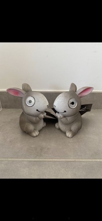 Joli Lapin solaire
