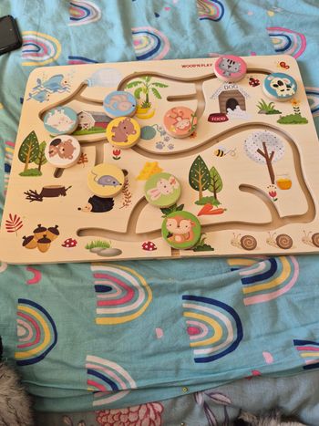 Jeu bois magnétique