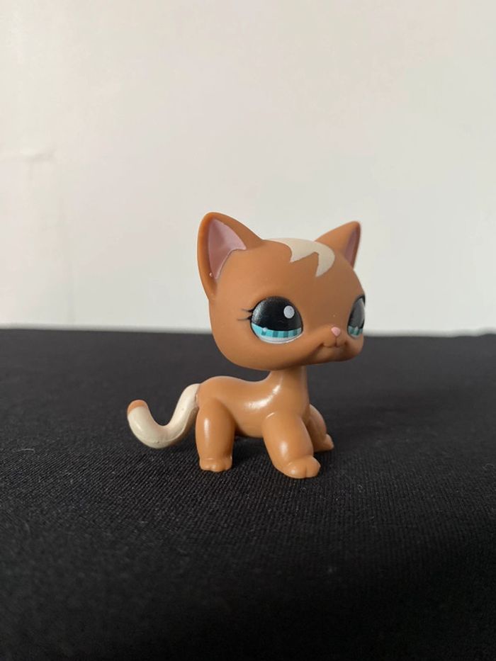 LPS 1170 - photo numéro 2