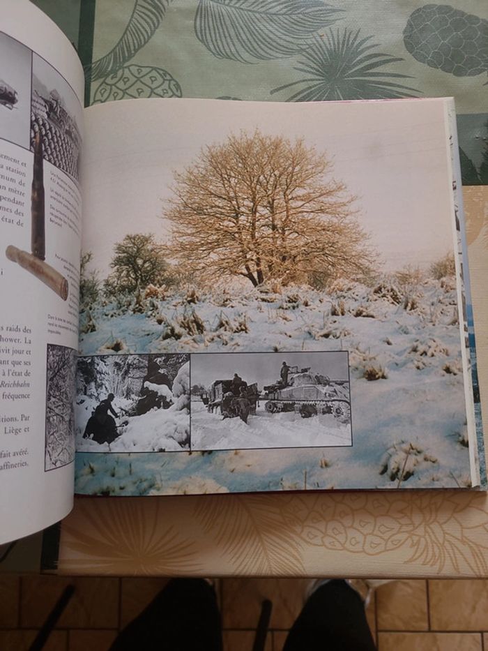 La campagne des ardennes 1944 1945 - photo numéro 12