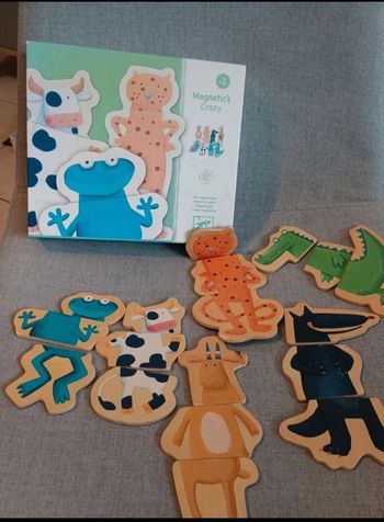 Jeu magnétique de Djeco