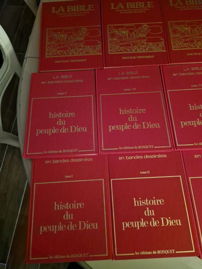 Histoire du peuple de dieu en BD. - photo numéro 3