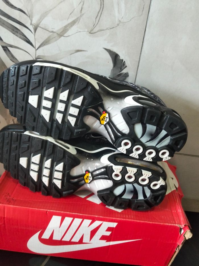 Basket tn - photo numéro 5