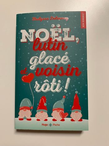 Livre : Noël lutin glacé voisin rôti !