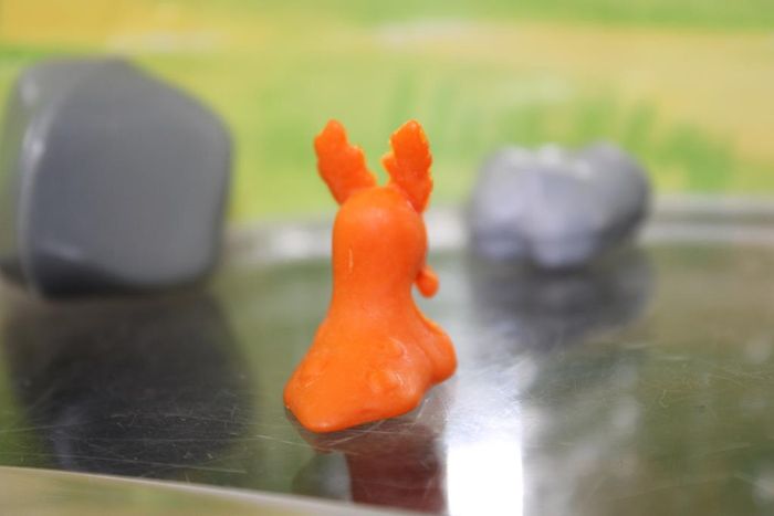 Pokemon Limagma - photo numéro 5