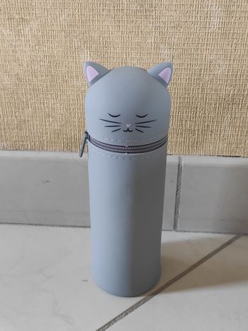 Rangement lunettes chat 