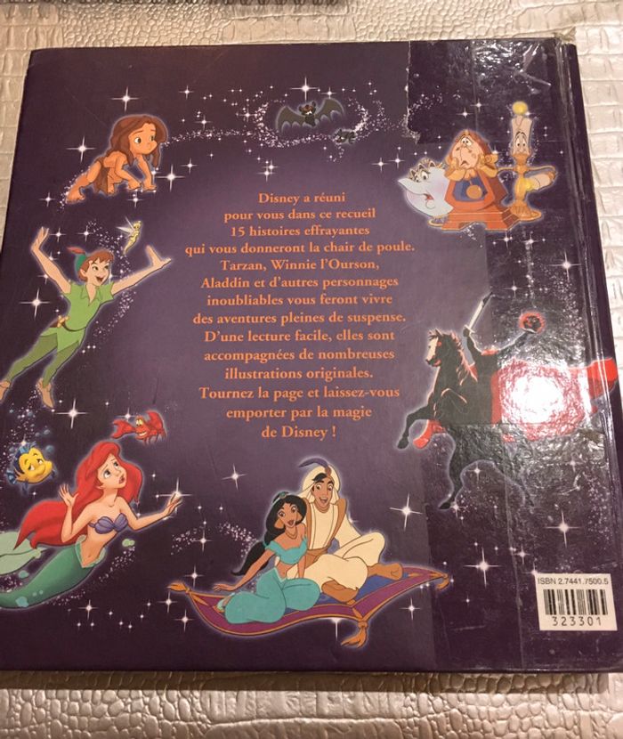 Gros livre 📖 Disney au royaume de la peur - photo numéro 2