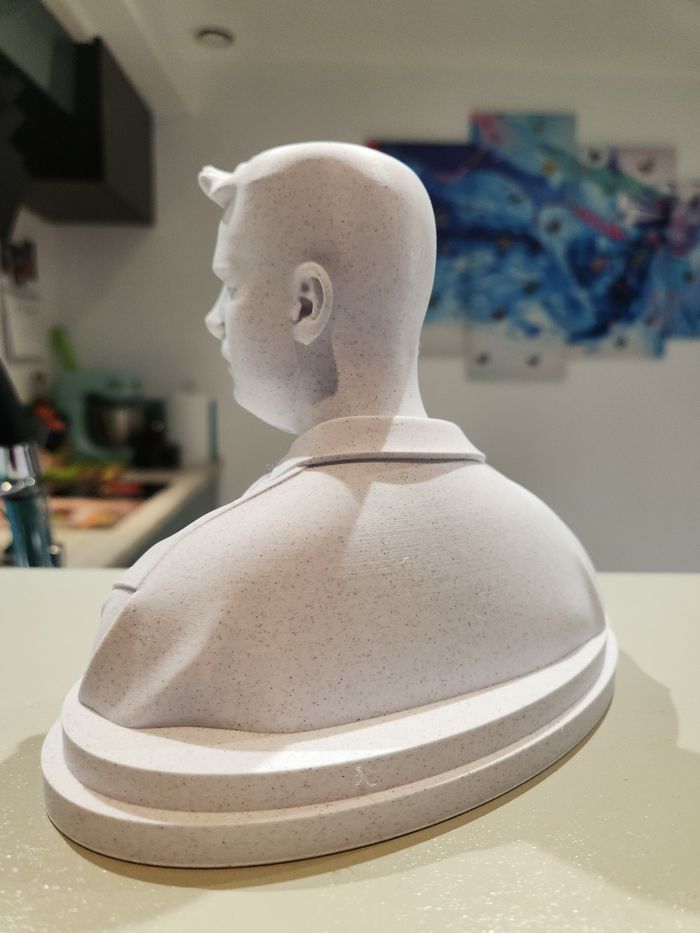 🎶 Star Académie – Julien Lieb – Buste collector – Figurine décorative - photo numéro 3