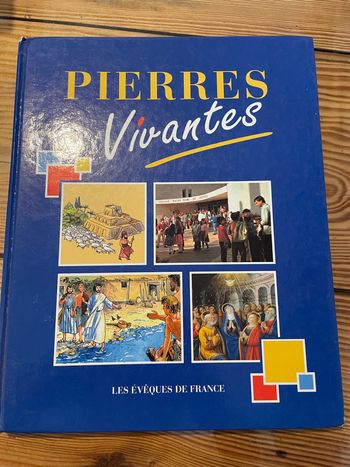 Livre pierres vivantes