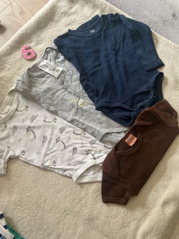 Lot 4 bodies