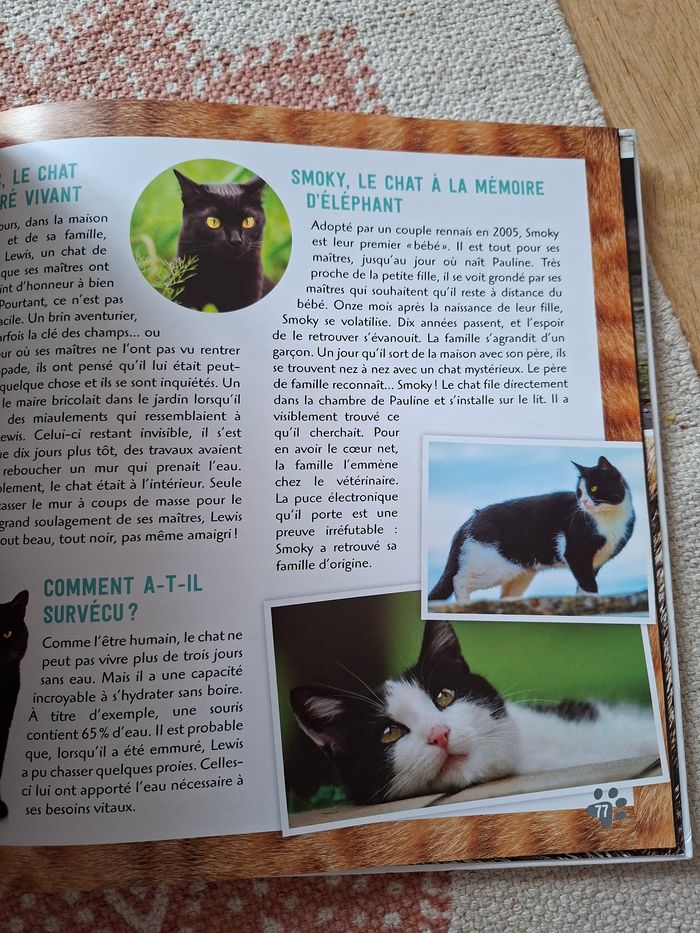 La vie secrète des chats - photo numéro 8