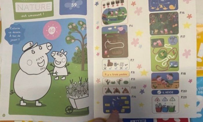 Kit panini albums + sachets de stickers Peppa Pig neufs scellés - photo numéro 9