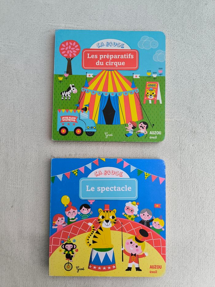 Lot 2 livres Ça bouge Auzou - photo numéro 2