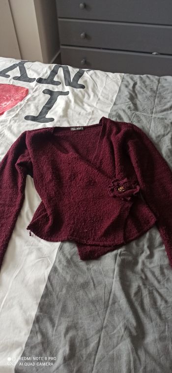 Pull Bordeaux t. 38