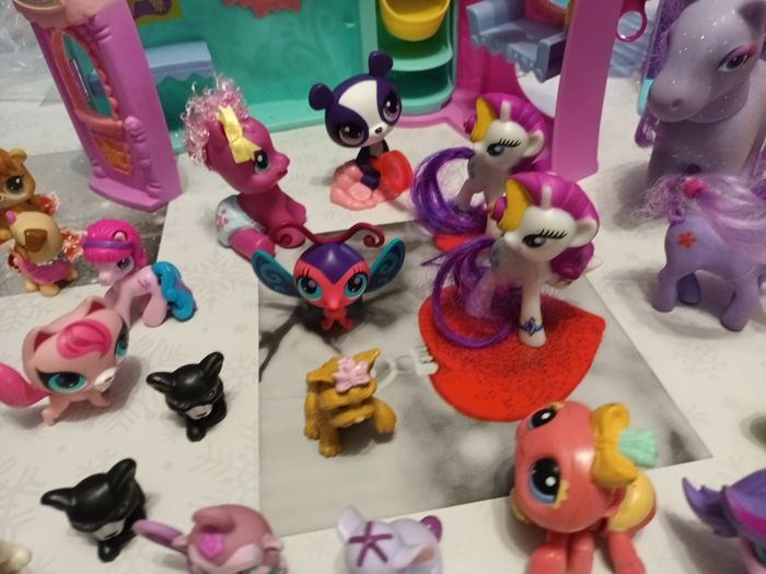 Pet Shop - photo numéro 9