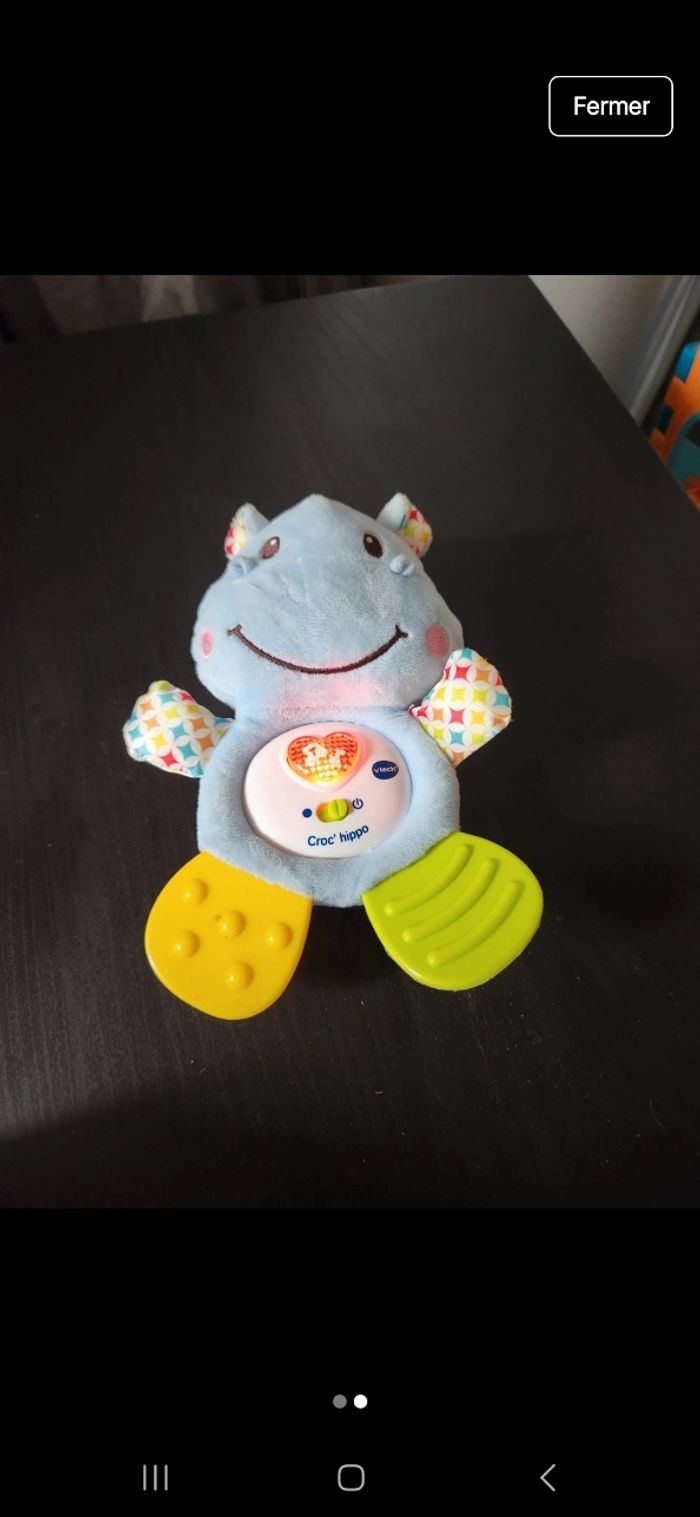 Croc hippo - photo numéro 2