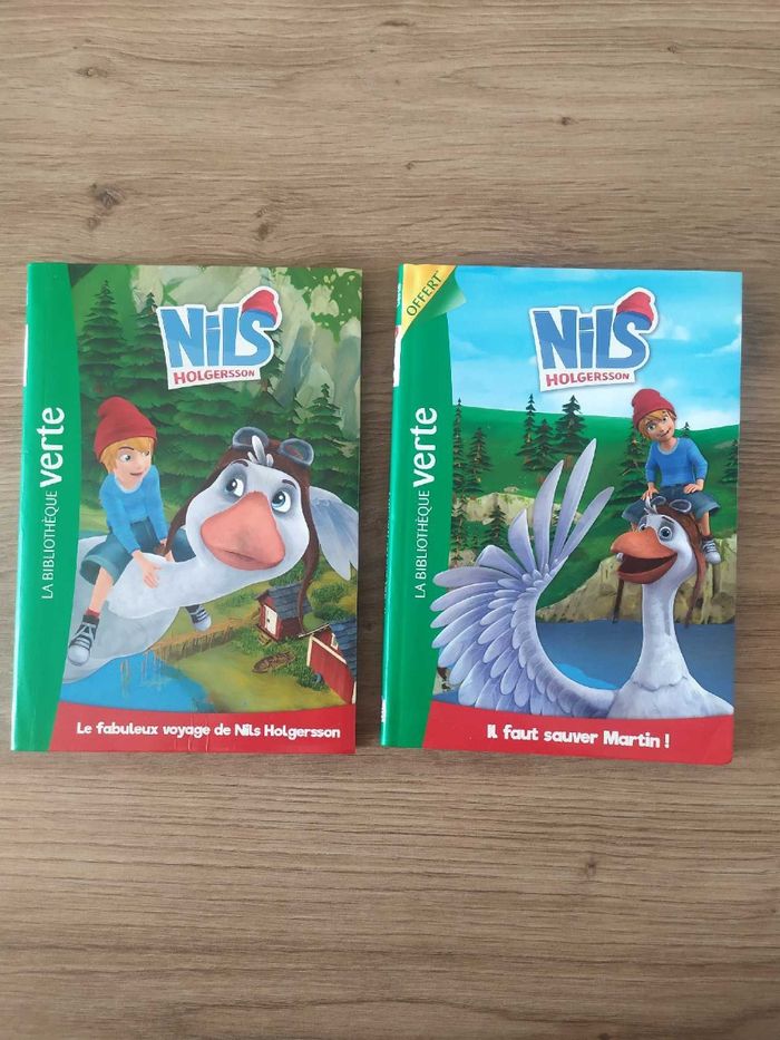 Livre enfant, Nils holgersson, Le fabuleux voyage de Nils holgersson, Hachette Jeunesse, TBE