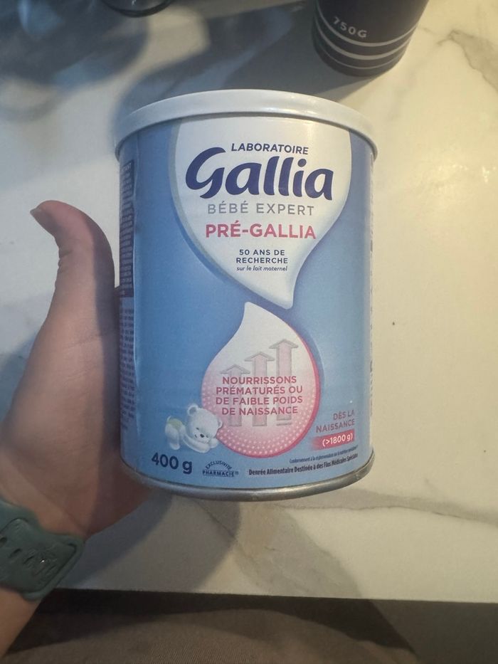 Pre-gallia - photo numéro 2