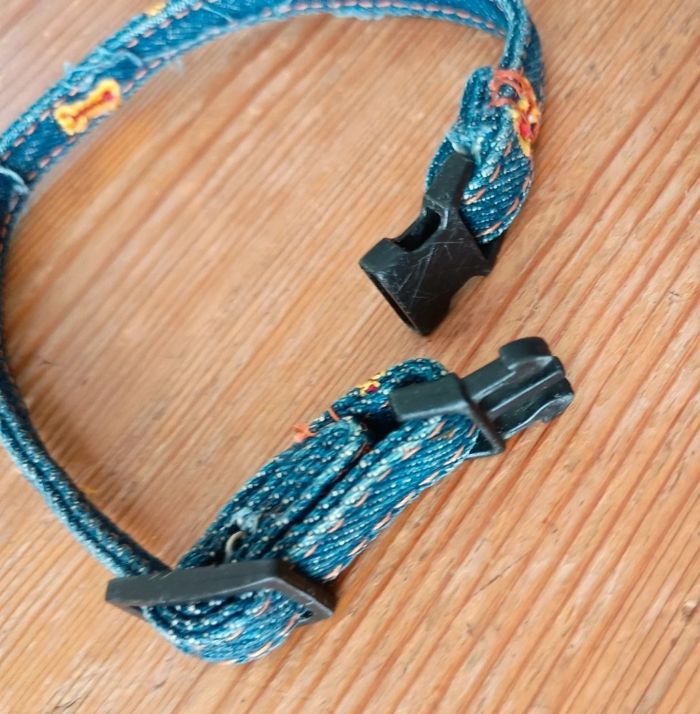 Collier pour petit chien - photo numéro 3