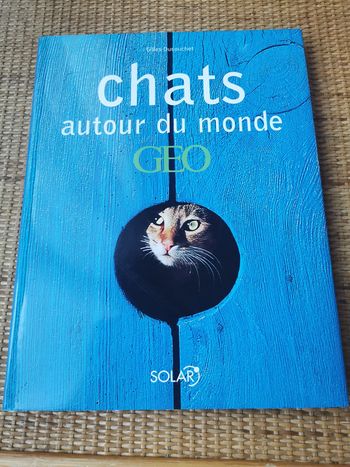 GEO Chats autour du monde