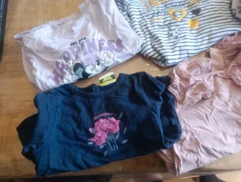 Lit tee shirt manche longue fille 9 mois