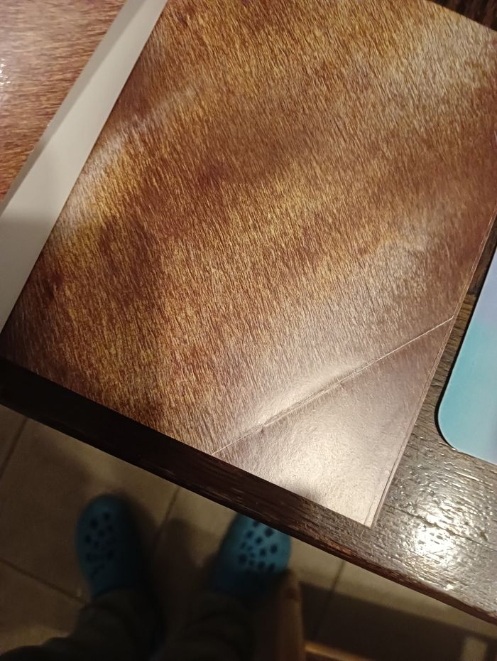 L'imagerie du poney et du cheval. - photo numéro 4