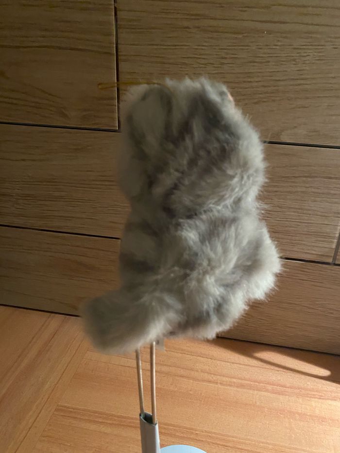 Peluche - photo numéro 2