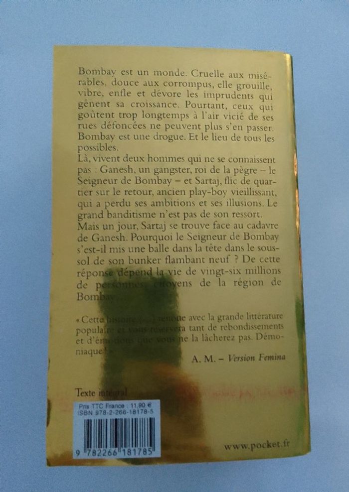 Vikram Chandra 🪅 Le seigneur de Bombay - photo numéro 2