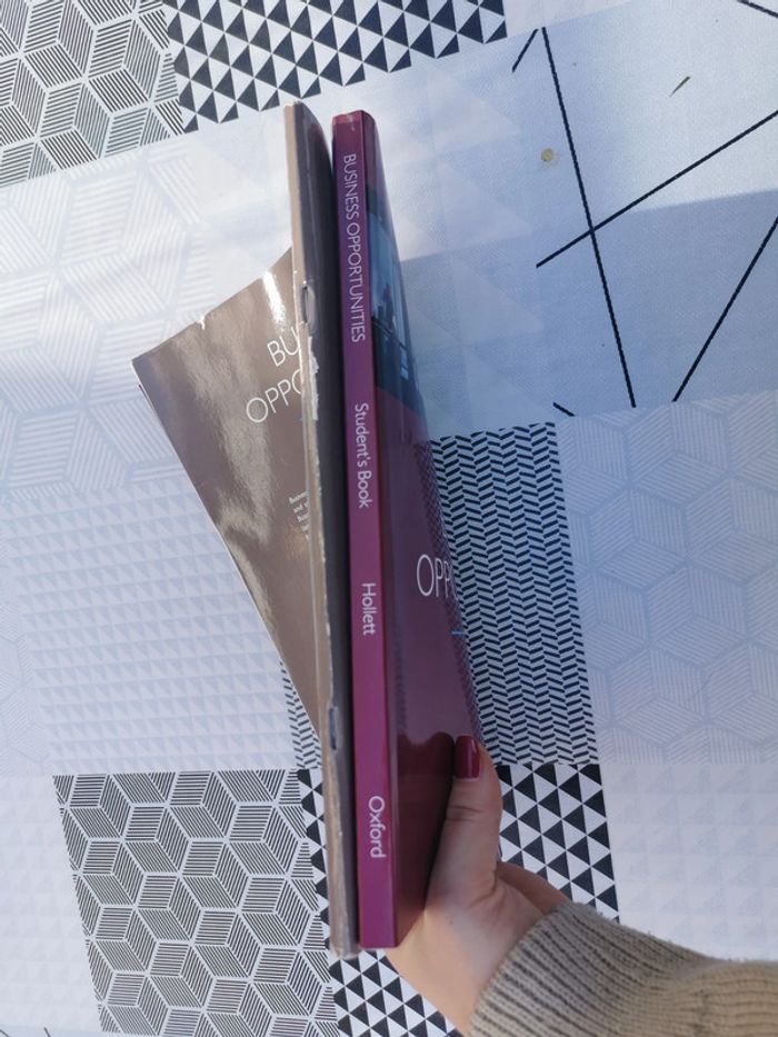 Business Opportunities, Vicki Hollett, manuel et cahier d'exercices Anglais - photo numéro 12