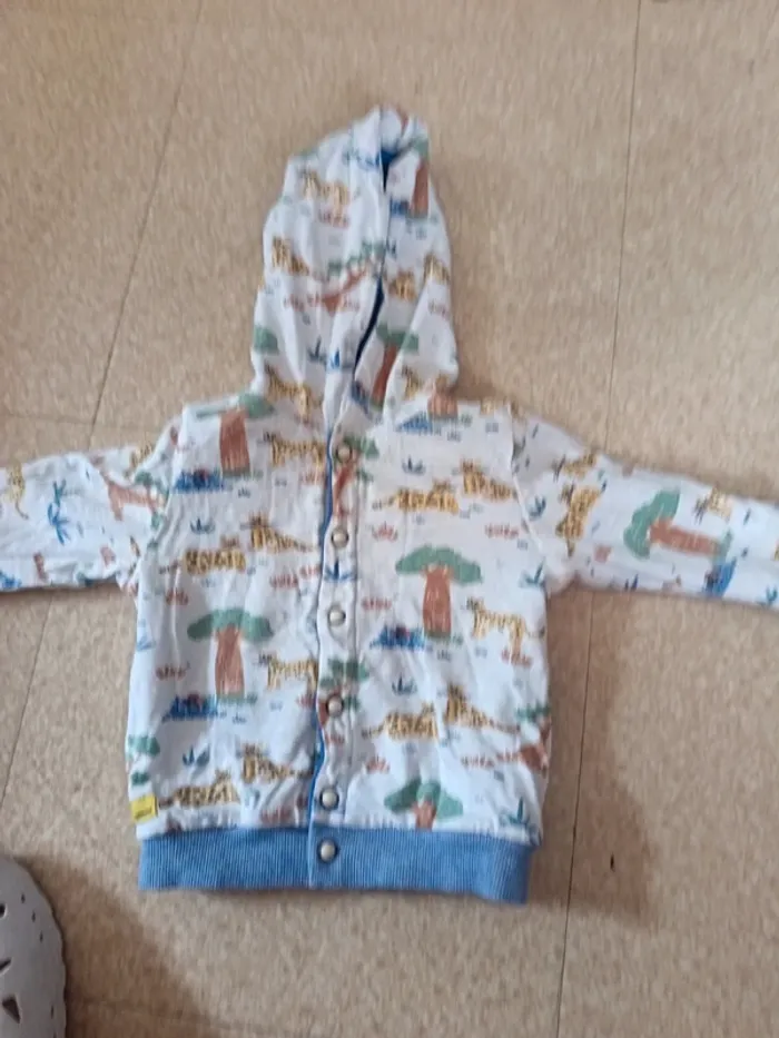 Sweat avec capuche 12 mois garçon convertible - photo numéro 2