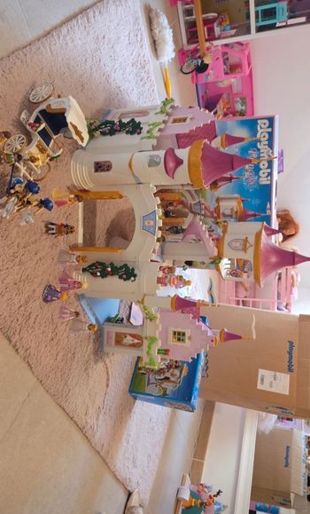 Château playmobil plus calèche 