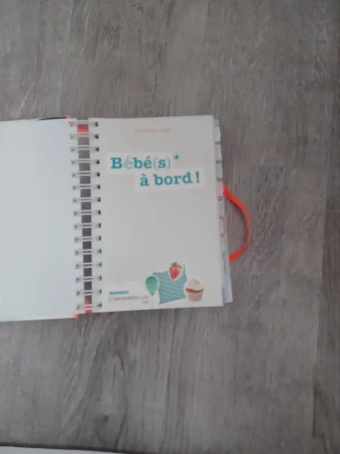 livre bébé à bord - photo numéro 3
