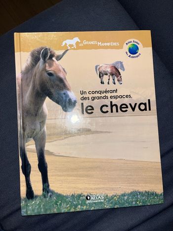 Livre pour enfants sur les animaux le cheval