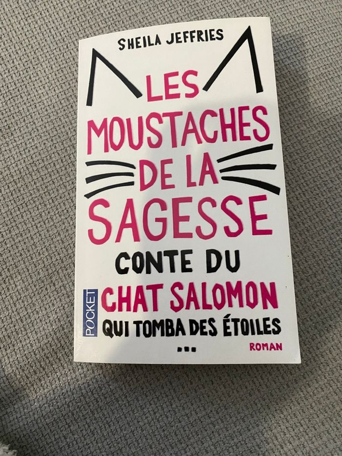 Les moustaches de la sagesse conte du chat Salomon qui tomba des étoiles
