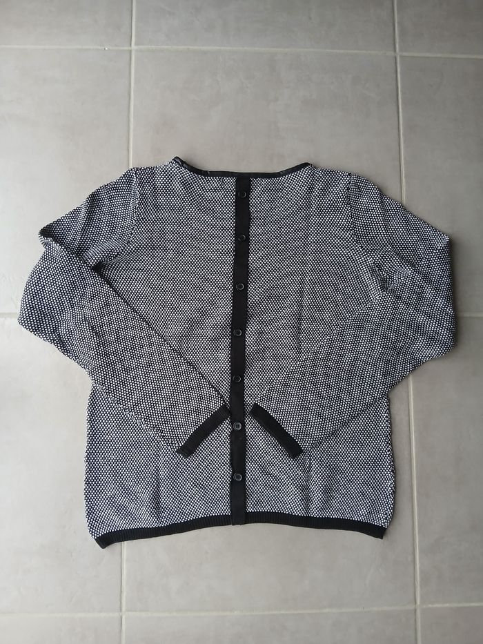 Pull leger - photo numéro 2