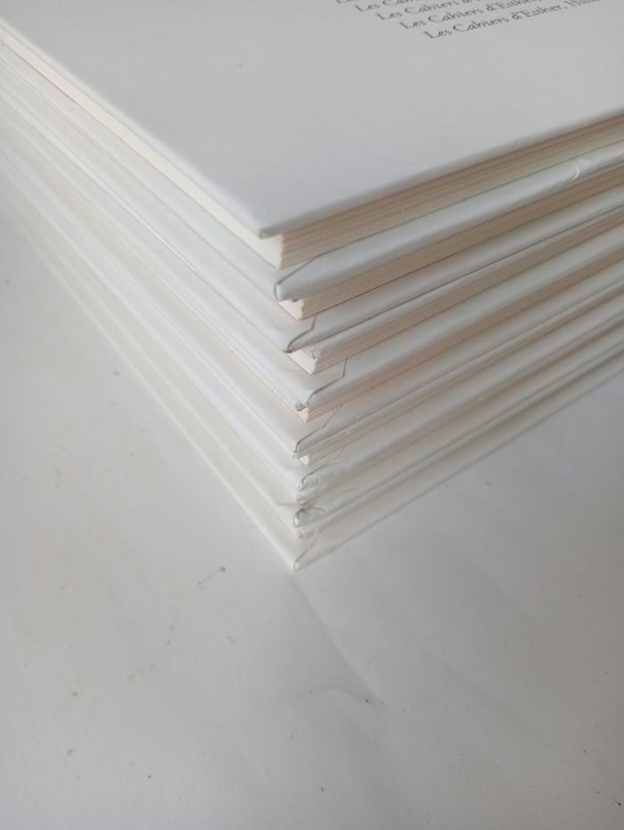 Cahiers d'Esther lot 7 bd - photo numéro 7