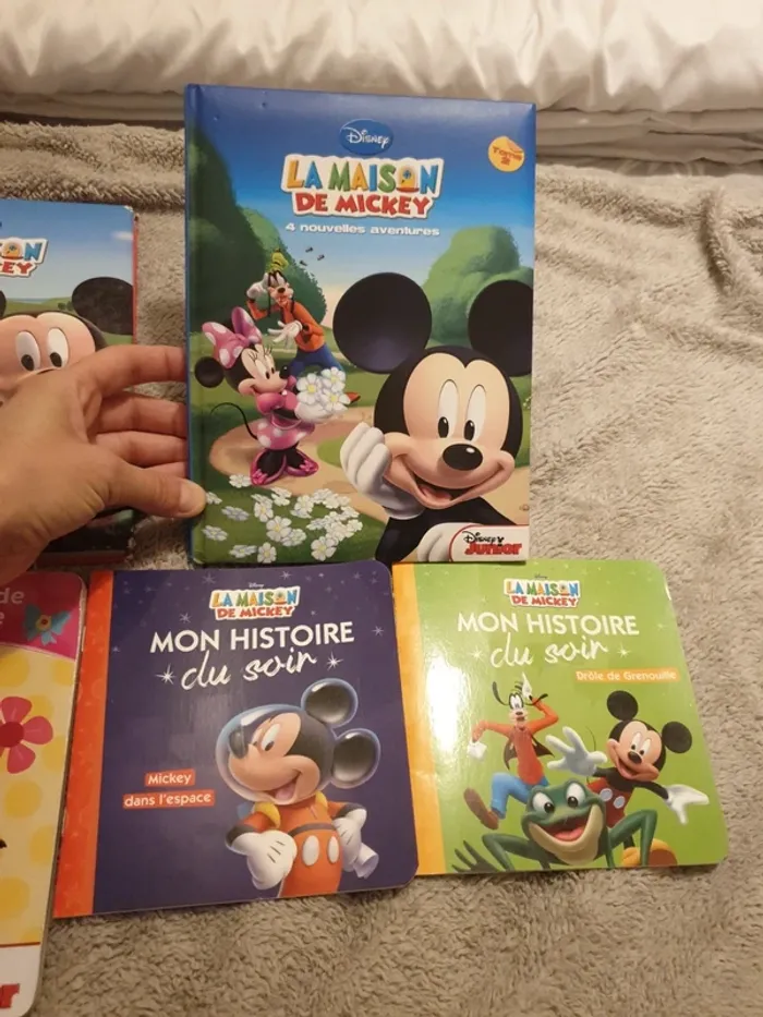 Livres la maison de mickey - photo numéro 3