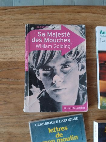 Sa majesté des mouches