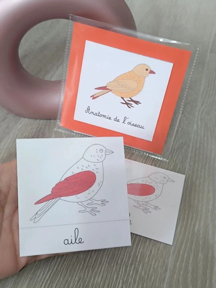 Cartes de nomenclature de l'oiseau - photo numéro 2