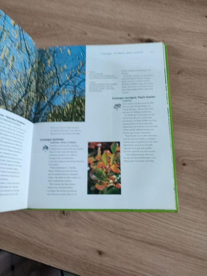 Livre sur les arbres du jardin - photo numéro 8