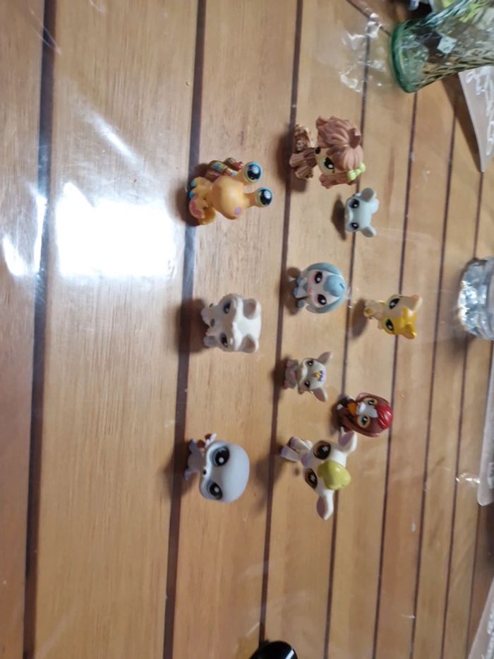 Lot petshop (8) - photo numéro 10