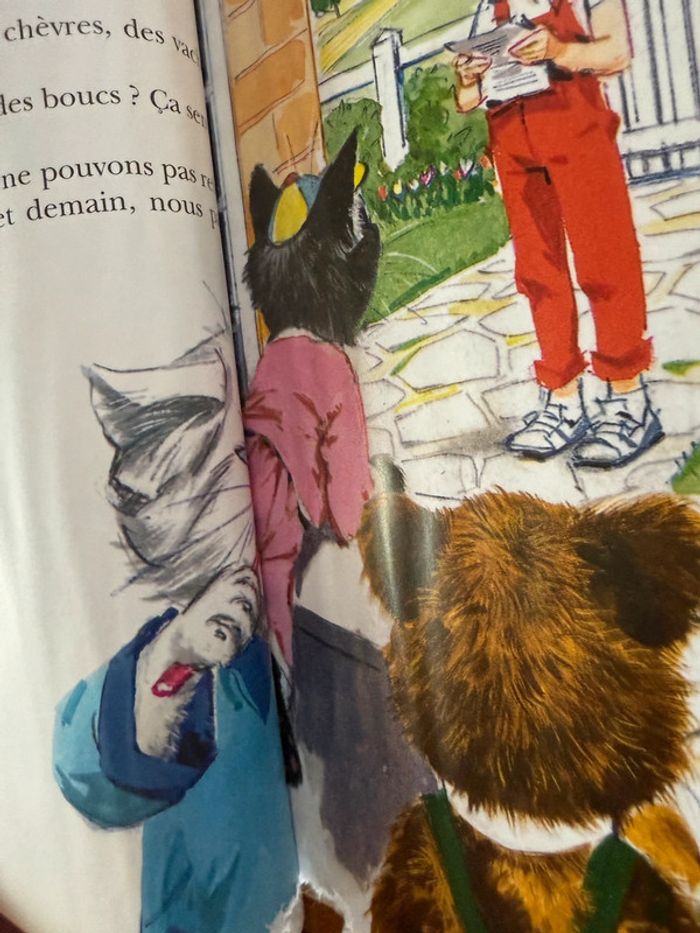 Moyen 2 - Livre édition limitée reliure rouge Caroline dans les Alpages Pierre Probst bd - photo numéro 6