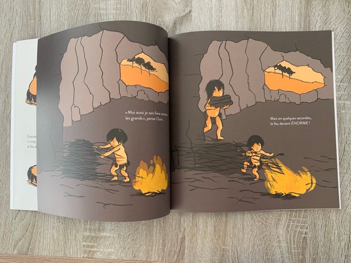 Le feu - photo numéro 3