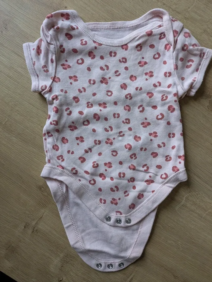 Lot de 4 bodies été manches courtes 9 mois - photo numéro 6